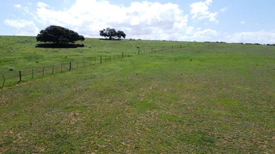 Commercial Property for Sale in Mossel Bay Rural Western Cape